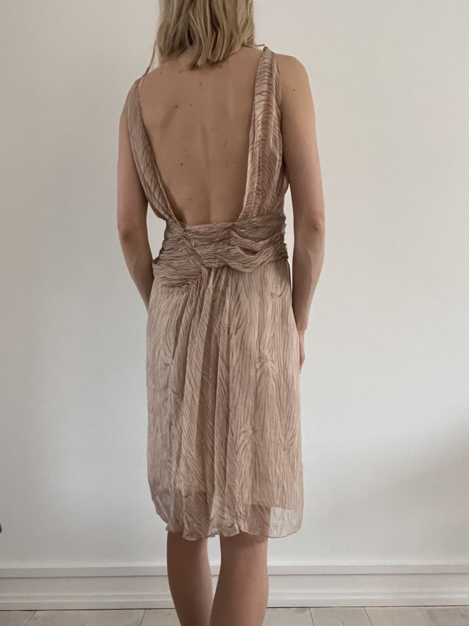 Roberta Ferretti kjole bagfra