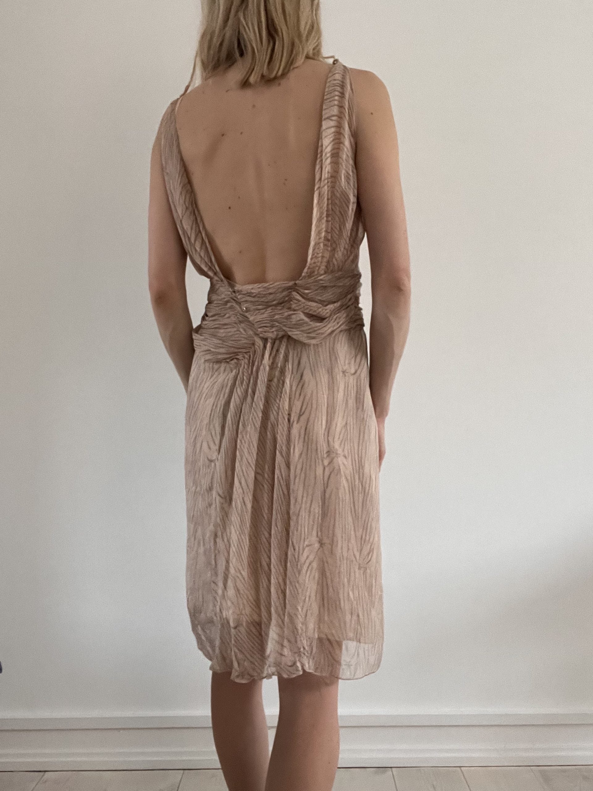 Roberta Ferretti kjole bagfra