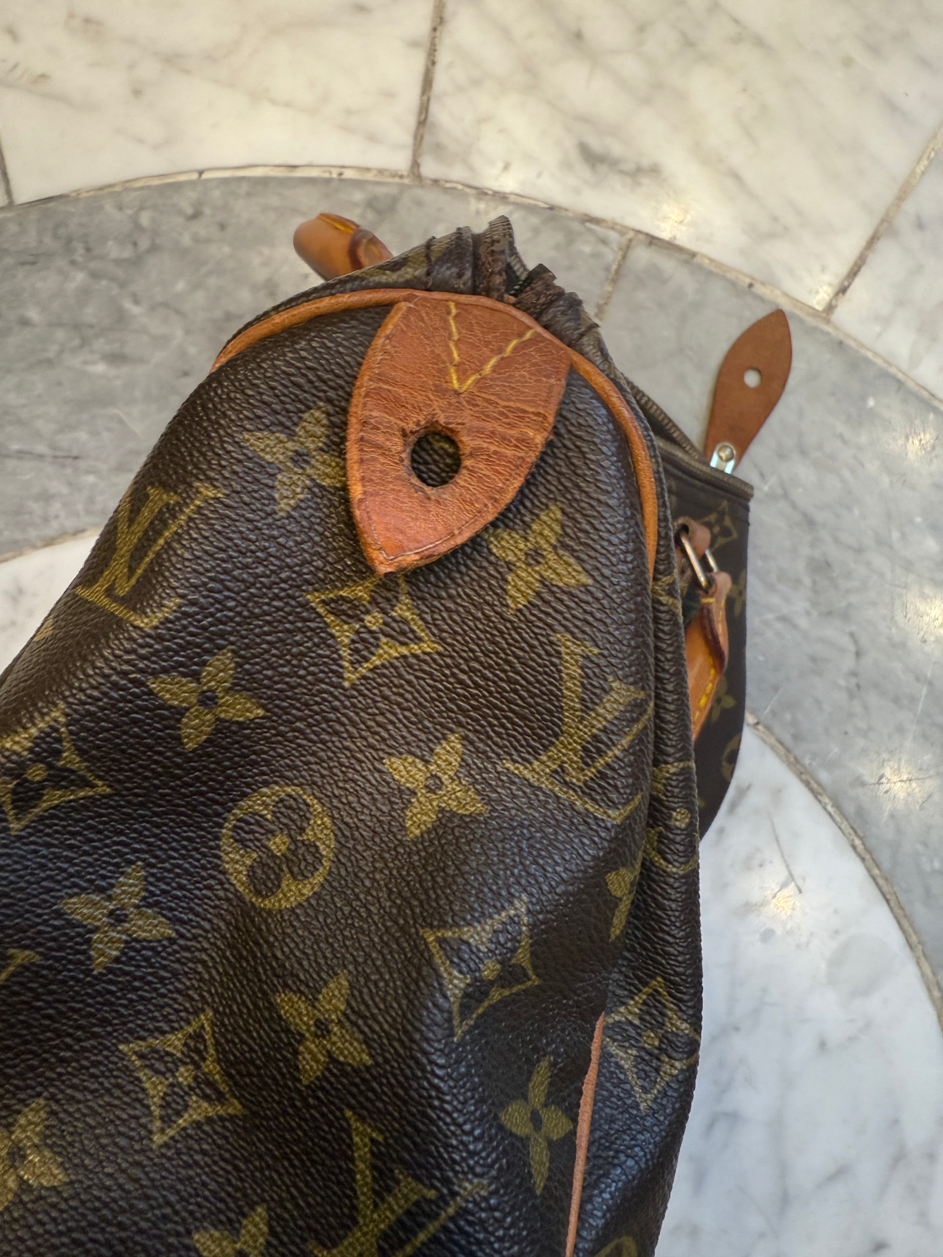 Louis Vuitton Speedy Handbag