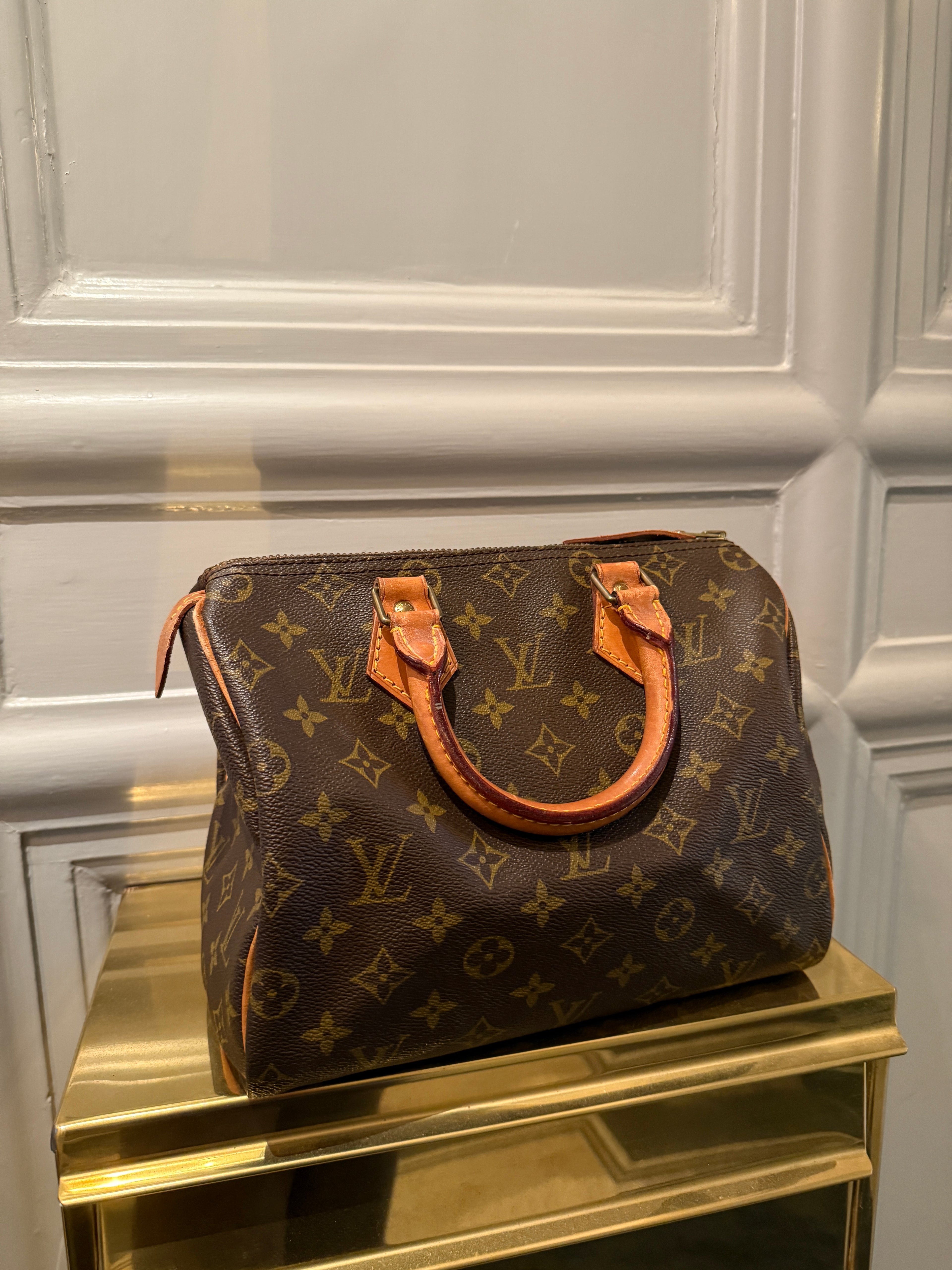 Louis Vuitton Speedy Handbag