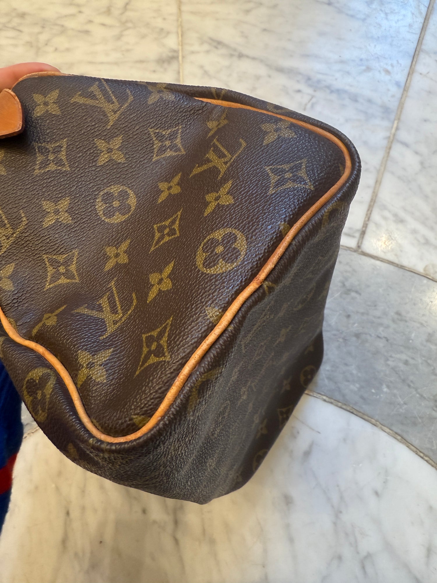 Louis Vuitton Speedy Handbag