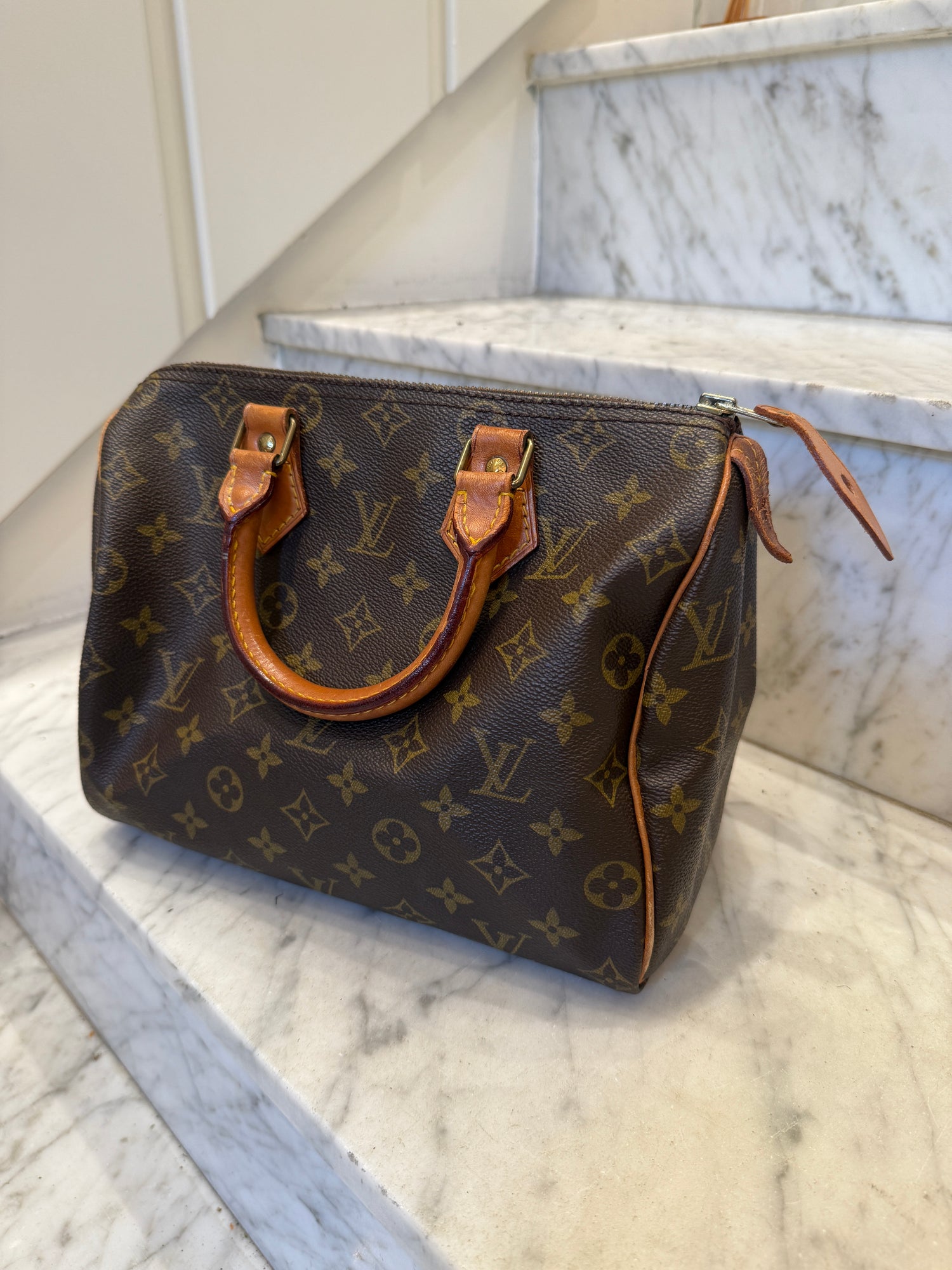 Louis Vuitton Speedy Handbag