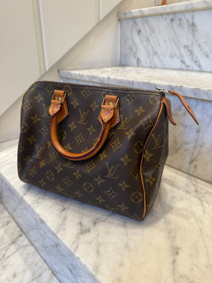 Louis Vuitton Speedy Handbag