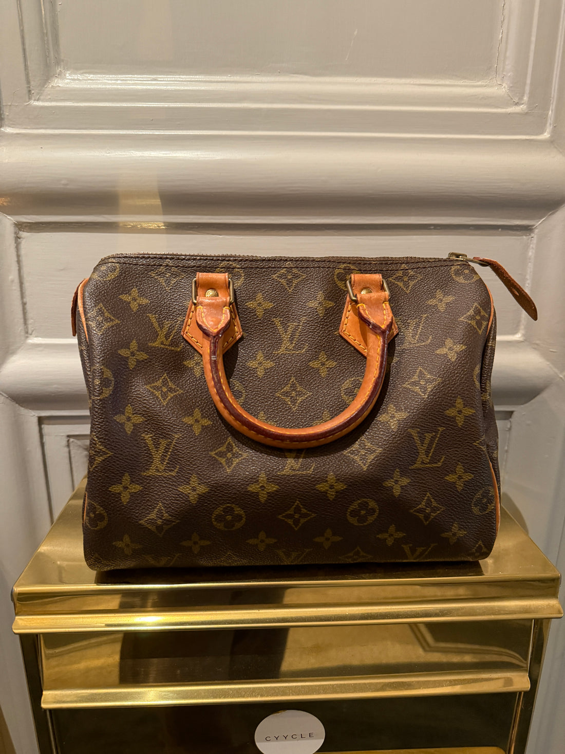 Louis Vuitton Speedy Handbag