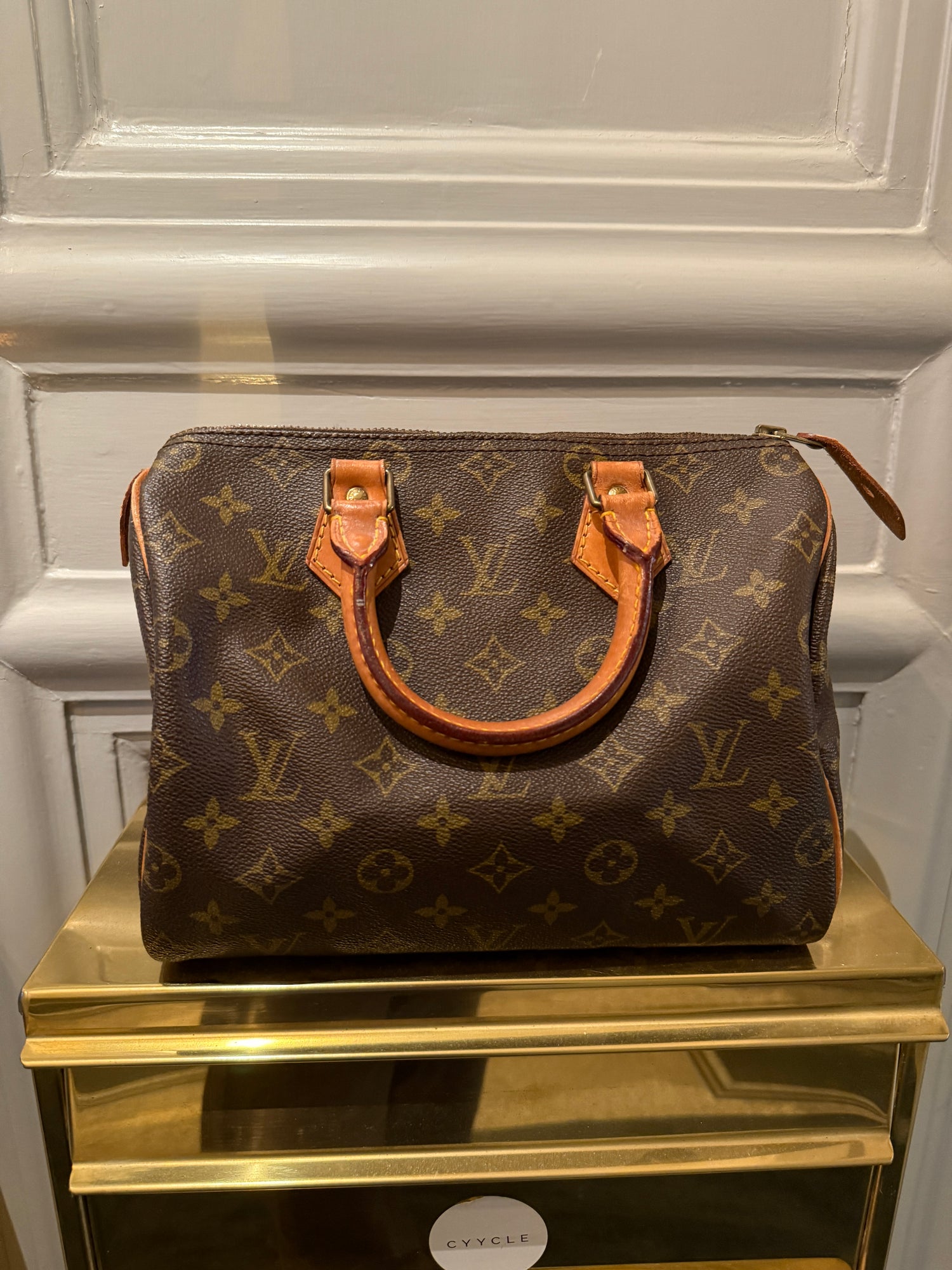 Louis Vuitton Speedy Handbag
