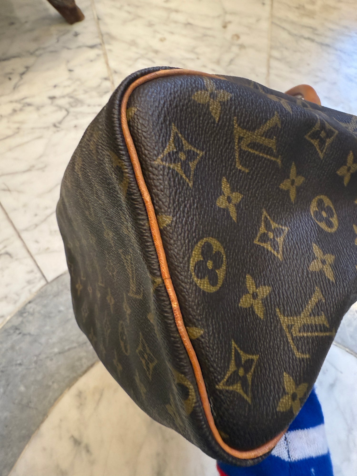 Louis Vuitton Speedy Handbag