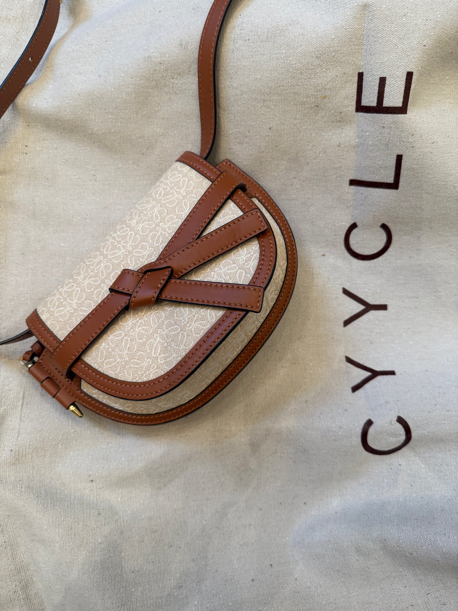 Loewe Gate Dual Mini Shoulder Bag