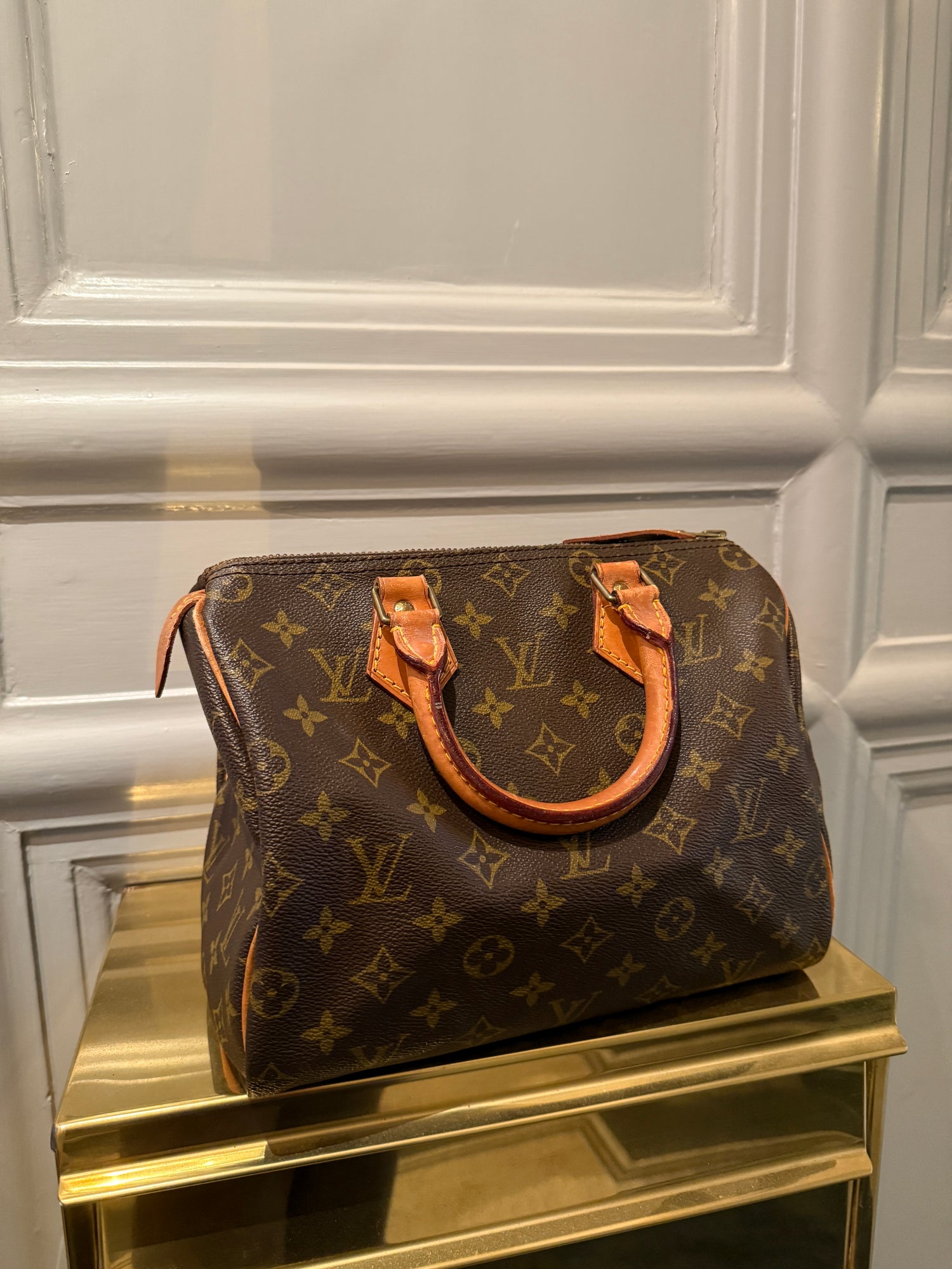 Louis Vuitton Speedy Handbag