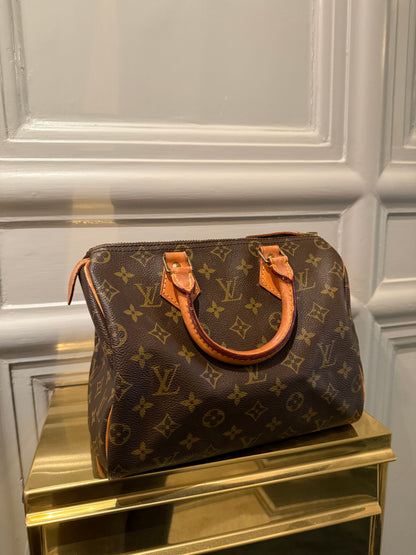 Louis Vuitton Speedy Handbag