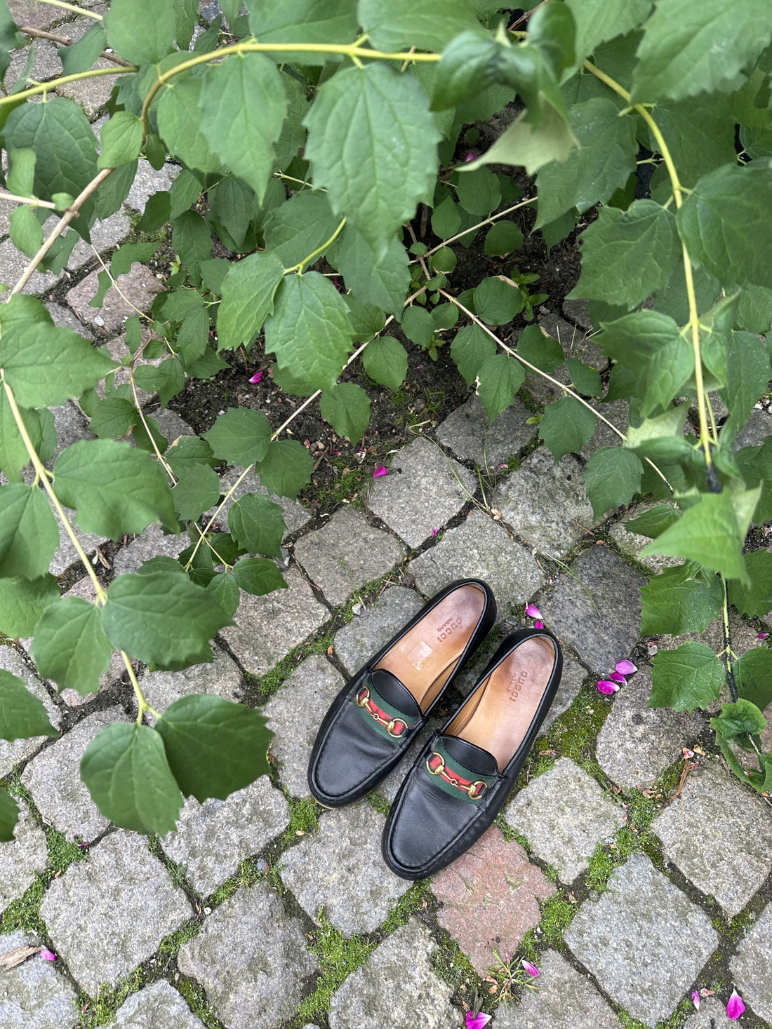 Gucci Loafers